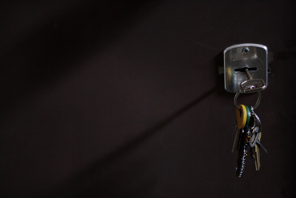 Mechanical Locks or Electronic Locks? Which One Is Better?